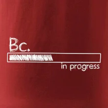 In progress titul Bc. bakalár / bakalárka