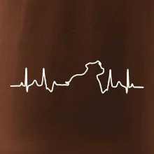 Stafordšírsky bulteriér ‎ EKG