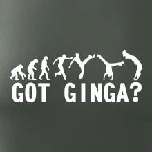 Capoeira - Got Ginga