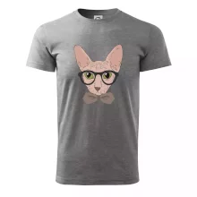 Hipster sphynx Hipster sphynx