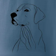 Labrador čierna kresba