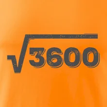 Narodeniny odmocniny 60