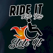 Ride it Like You Stole it Ride it Like You Stole it