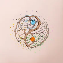 Yin & Yang strom - zima, leto