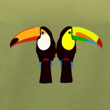 Dva barevní tukani (Moňas)