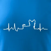 Yorkshirský teriér EKG