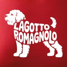 Lagotto romagnolo nápis v tele