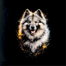 Obrázok poltón vlčí špic