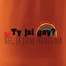 Gay princezna Gay princezna