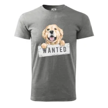 Zlatý retriever - šteniatko wanted