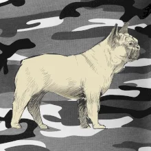 Vintage French bulldog