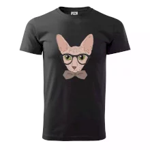 Hipster sphynx Hipster sphynx
