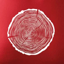 Letokruhy 55 bez veku