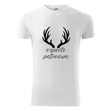 Harry - Expecto patronum Harry - Expecto patronum