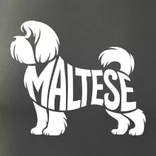 Maltézsky psík nápis v tele