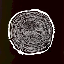 Letokruhy 65 bez veku