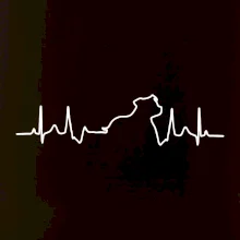 Stafordšírsky bulteriér ‎ EKG