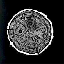 Letokruhy 60 bez veku