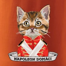 Napoleon domáci mačka