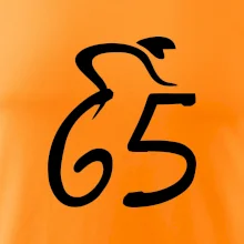 Cyklista oslavuje šesťdesiatpäťku (65)