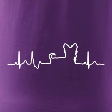 Yorkshirský teriér EKG Yorkshirský teriér EKG