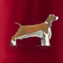 Vintage Springer spaniel