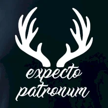 Harry - Expecto patronum Harry - Expecto patronum