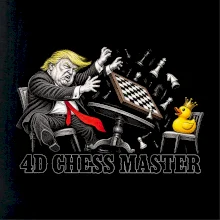 Donald Trump prohrává šachy s kachnou