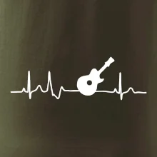 EKG akustická gitara