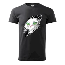 Kočka v roztrženém triku Kočka v roztrženém triku