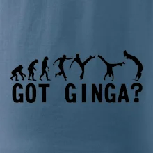 Capoeira - Got Ginga