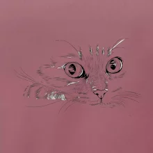 Mačka tvár kresba Mačka tvár kresba