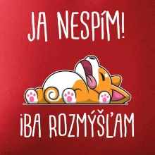 Ja nespím, iba rozmýšľam SK