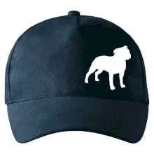 Americký stafordšírsky teriér Na prsníku