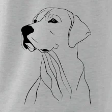 Labrador čierna kresba