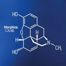 Molekulárna štruktúra Morfín