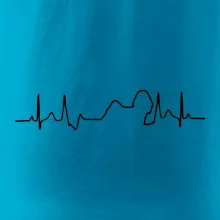 Shih-tzu ekg obrys Shih-tzu ekg obrys