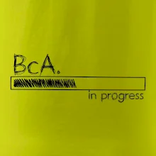 In progress titul BcA. bakalár / bakalárka umenia