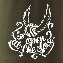 Harry - Zlatá strela