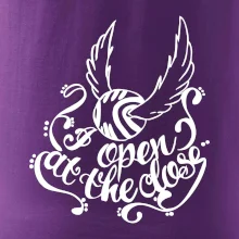 Harry - Zlatá strela Harry - Zlatá strela