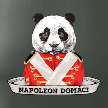 Napoleon domáci panda