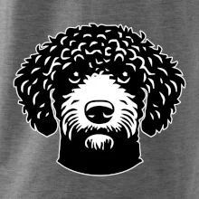 Lagotto romagnolo hlava na prsníku