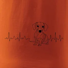 EKG krivka jazvečík