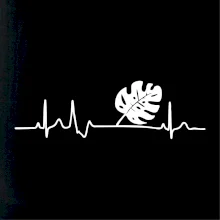 EKG Monstera EKG Monstera