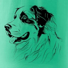 Bernský salašnícky pes čierna kresba