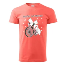 Mačky na bicykli