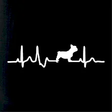 EKG Francouzský buldoček z boku