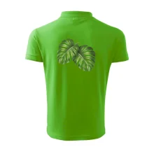 Monstera - dva listy