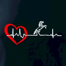 Moje srdce bije pre kone