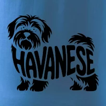 Havanese nápis v tele